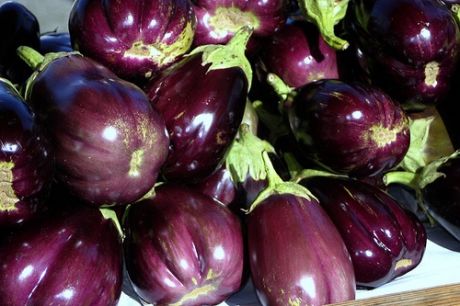 Eggplant vs. Aubergine | Australia